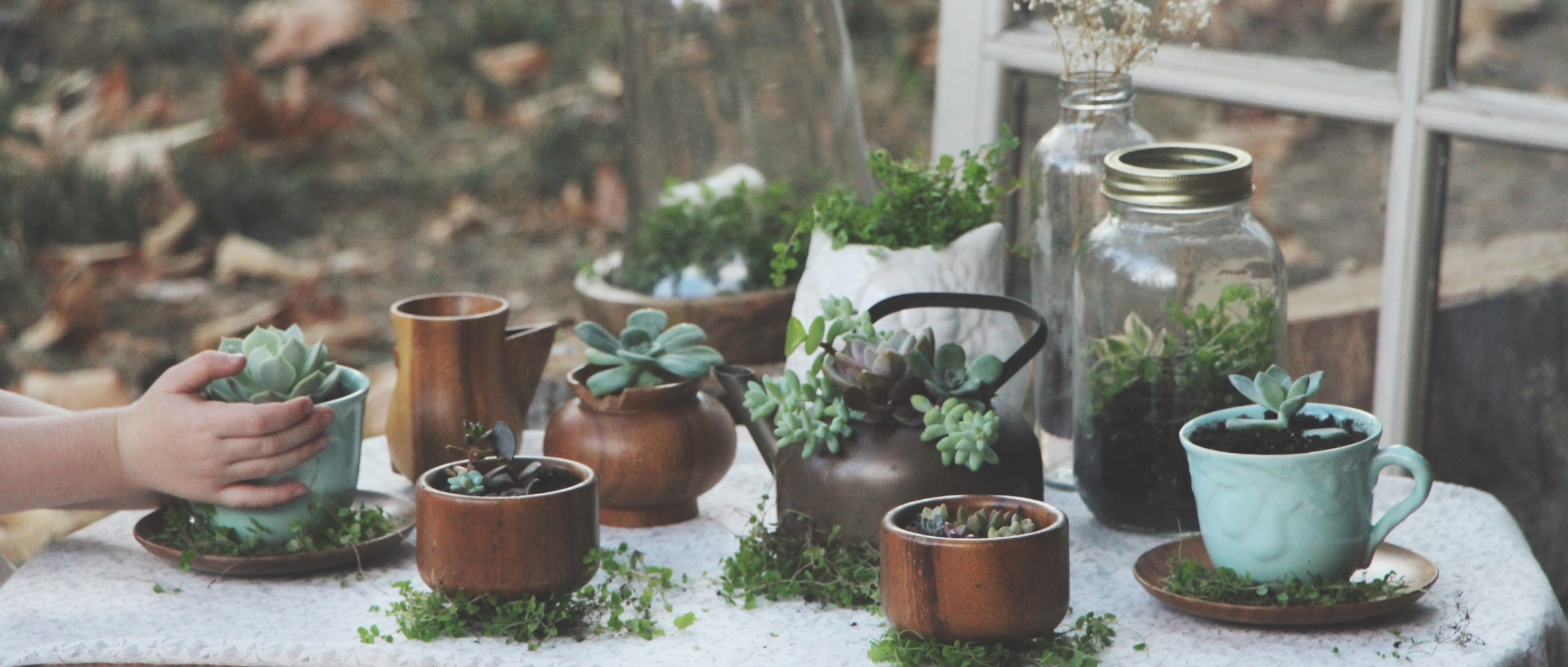 A Succulent Tea Party via Needles + Leaves :: we styled this photo shoot with succulents in a teapot, teacups, mason jars, a bell jar, and terra cotta pots. :: flowers, roses, daisies, babies breath::&nbsp;vintage inspired owl, reused, repurposed, s…